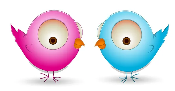Cute Cartoon Birds Couple — Stock Vector