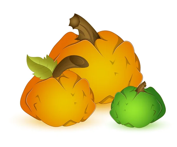 Set of Vector Pumpkins — Stock Vector