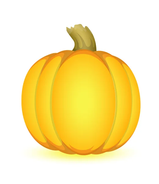 Pumpkin Fruit — Stock Vector