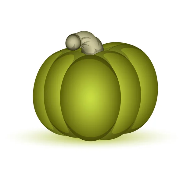 Citrouille verte — Image vectorielle