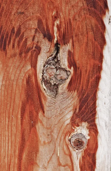 나무 질감 된 배경 — 스톡 사진