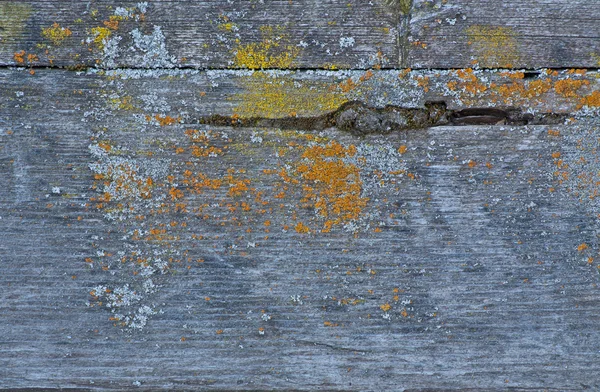 Wood Old Texture Background — Stock Photo, Image