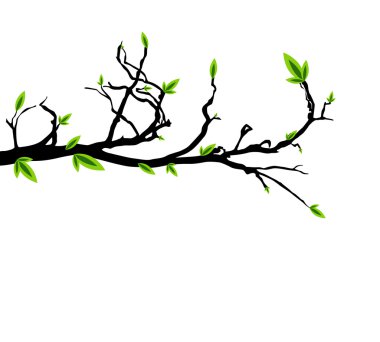 Green Leafs on Black Branch clipart