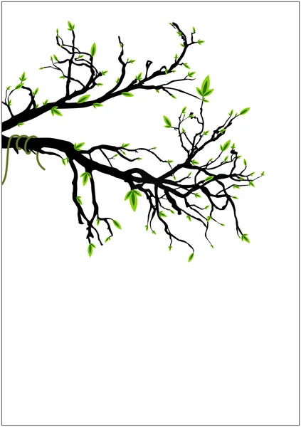Zöld levelek, halott fa ága — Stock Vector