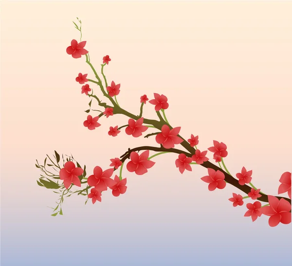 Krásné růžové květy větev — Stockový vektor