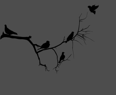 Birds Sitting on Dead Tree Branch clipart