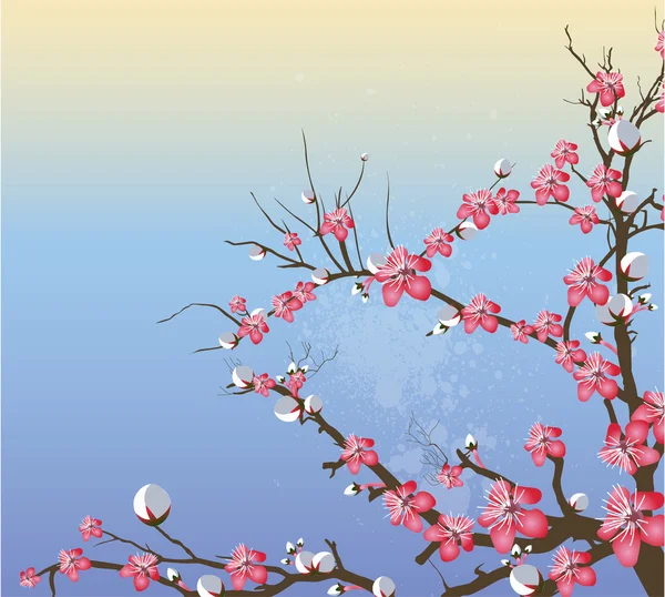 Frühling Blume Zweig Hintergrund — Stockvektor