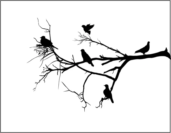 Formas de aves sentadas en la rama del árbol — Archivo Imágenes Vectoriales