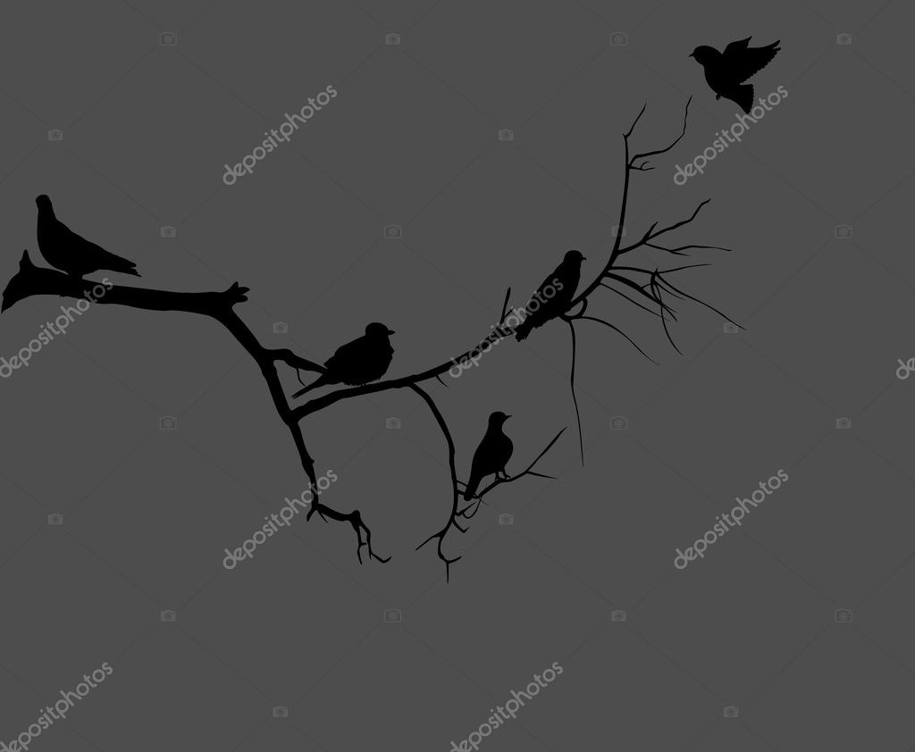 Birds Sitting on Dead Tree Branch — Stock Vector © baavli #8237566