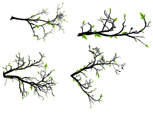 Reihe von herbstlichen Zweigen — Stockvektor