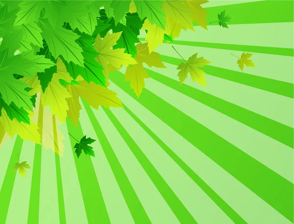 绿色秋天树叶背景 — 图库矢量图片
