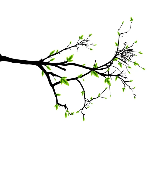 Branche d'automne vectorielle — Image vectorielle