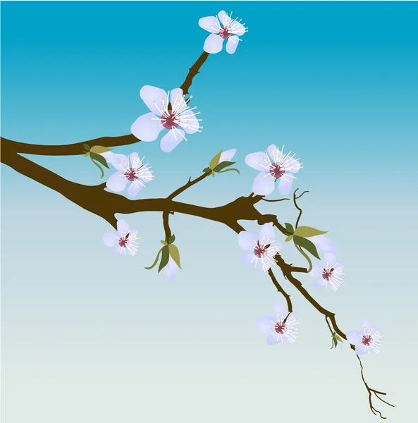 Frühlingsblumen-Vektorzweig — Stockvektor
