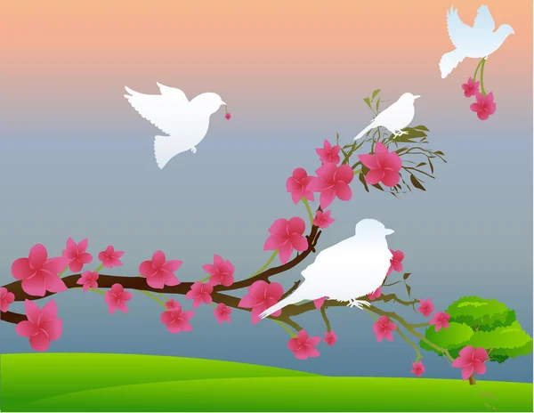 Птицы на ветвях цветов — стоковый вектор