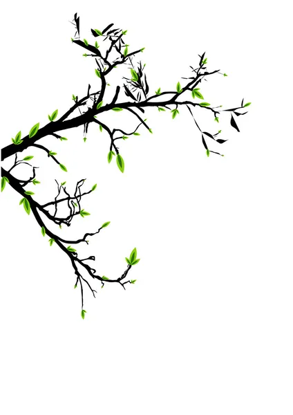 Анотація Leaf відділення — стоковий вектор