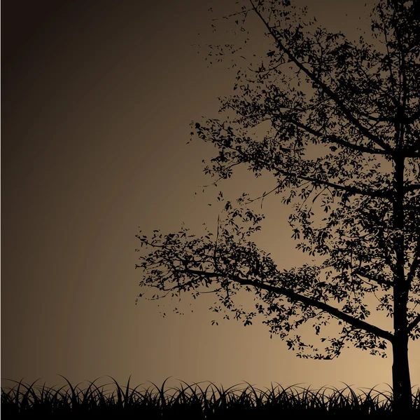 Silhouet van boom bij nacht — Stockvector
