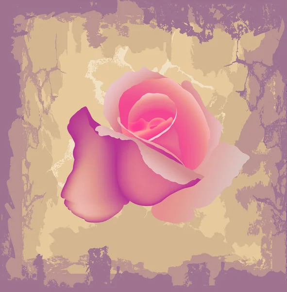 Vektor Rose Grunge Hintergrund — Stockvektor