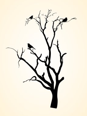 Vector Tree Silhouettes clipart