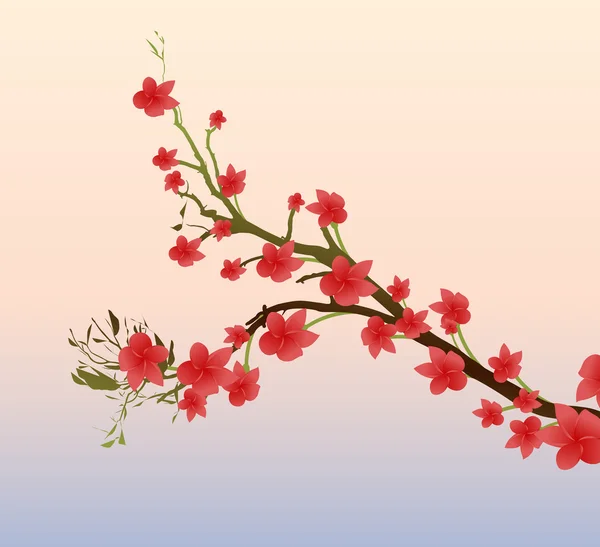 Branche printemps — Image vectorielle