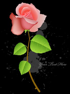 Vector Rose Plant clipart