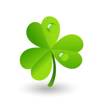 shamrock üstünde su damlaları