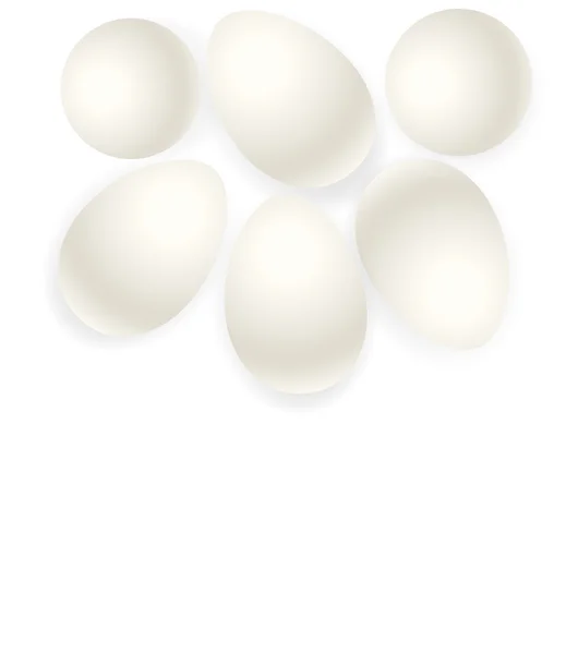 鸡鸡蛋 — 图库矢量图片