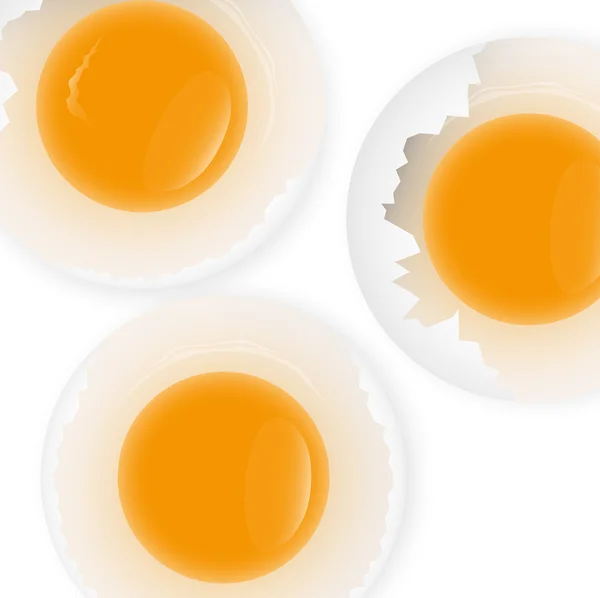 Fondo de huevos rotos — Vector de stock