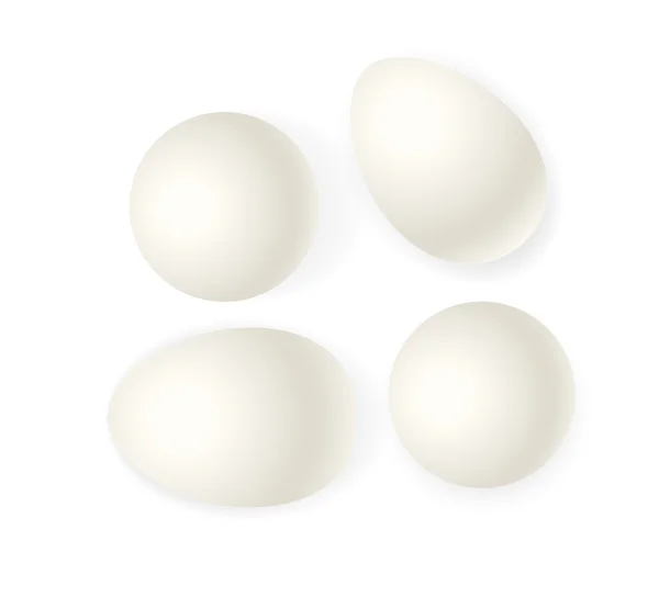 Huevos de vectores blancos — Vector de stock