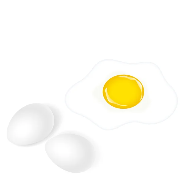Eggs with Yolk on White Background — Stock Vector