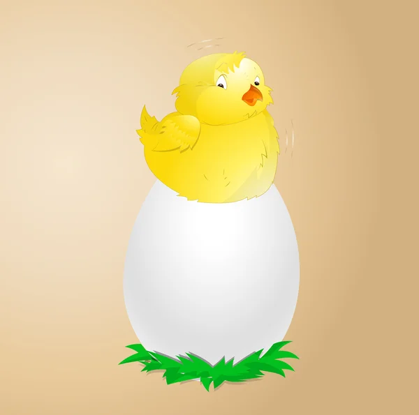 Yumurta üzerinde sarı civciv — Stok Vektör