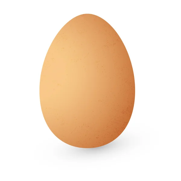 Huevo vectorial aislado sobre fondo blanco — Vector de stock