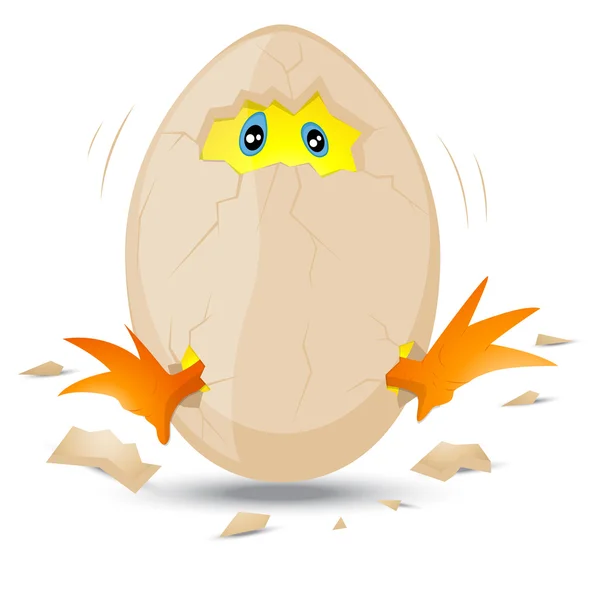 Pintainho bebé no ovo —  Vetores de Stock