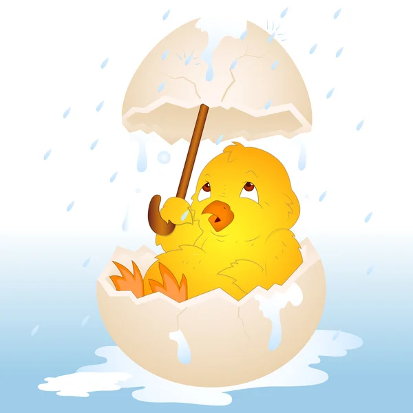 Easter Chicken in Rain — Stock Vector