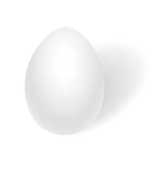 Wektor biały jajko — Wektor stockowy