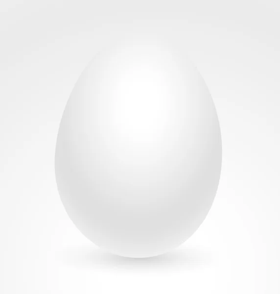 흰색 달걀 — 스톡 벡터