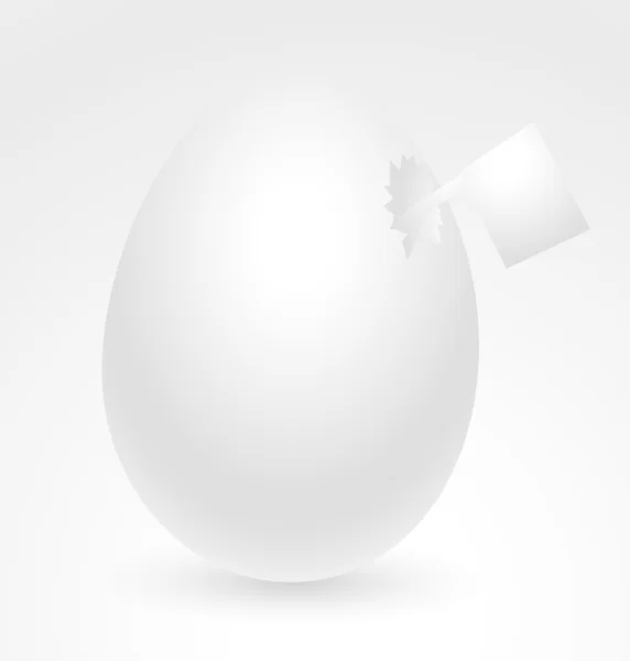 Huevo de pollo con bandera — Vector de stock
