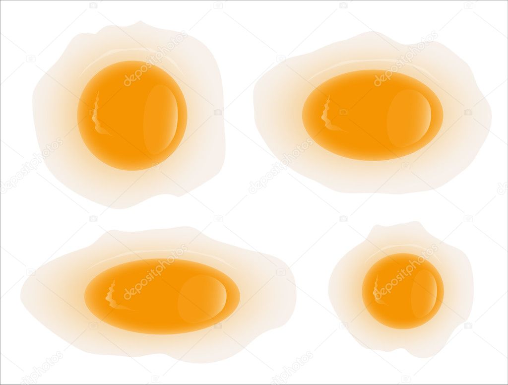 Vector Illustration of Egg Yolk