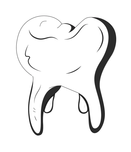 Molar tand — Stock vektor