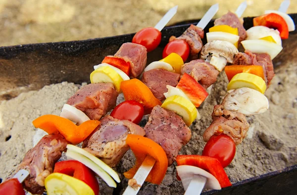 Shish kebab de cerca —  Fotos de Stock