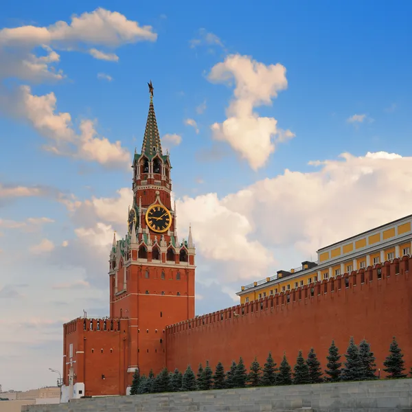 Московський кремль Ліцензійні Стокові Зображення