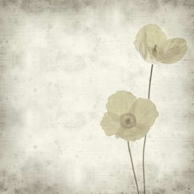 Textured old paper background with welsh poppy clipart