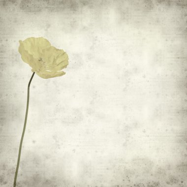 Textured old paper background with Welsh poppy (Meconopsis cambr clipart
