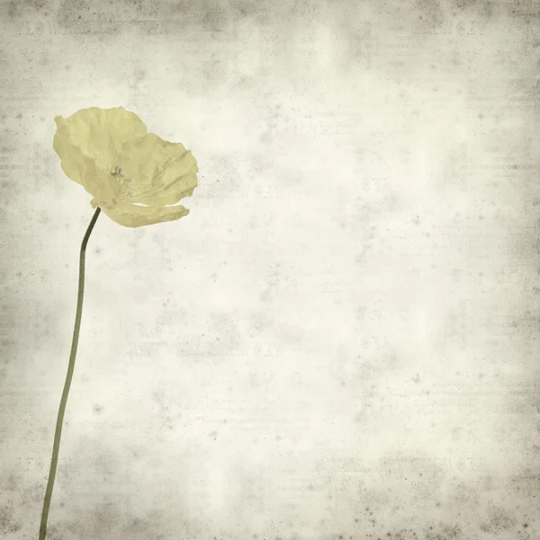 stock image Textured old paper background with Welsh poppy (Meconopsis cambr