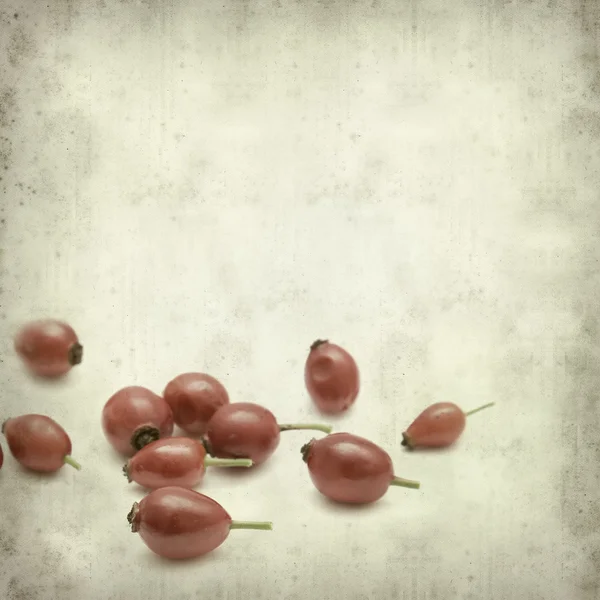 stock image Textured old paper background with autumnal ripe red rosehip fr