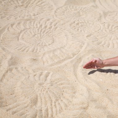 Ammonite sand design and male hand making it clipart