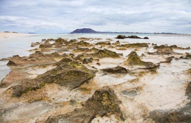 Fuerteventura, corralejo bayrak beach