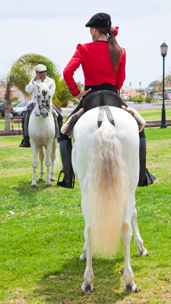 stock image CORRALEJO, SPAIN - APRIL 28: Horses are on show as a part of 