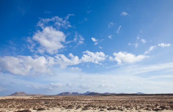 Fuerteventura, corralejo zandduinen — Stockfoto