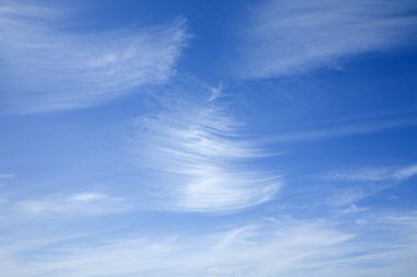 Horizontal background of beautiful cirrus clouds, clipart