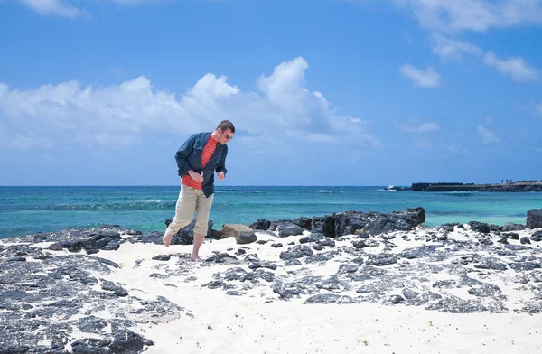 Фуертевентура, Канарські острови, Баха чорного вулканічного каменю і — стокове фото